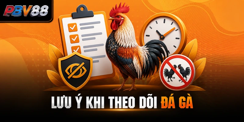 LƯU Ý KHI THEO DÕI ĐÁ GÀ