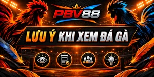 LƯU Ý KHI XEM ĐÁ GÀ