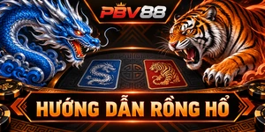 HƯỚNG DẪN RỒNG HỔ