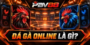 ĐÁ GÀ ONLINE LÀ GÌ?